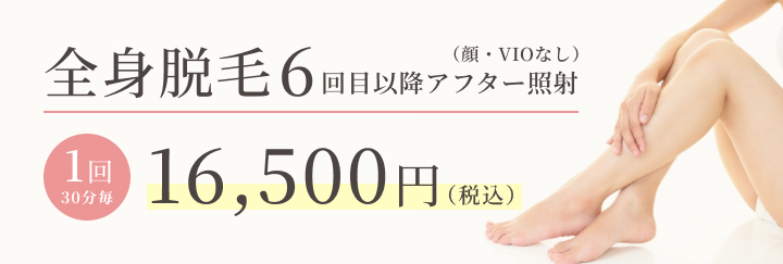 全身脱毛6回目以降アフター照射(顔・VIOなし)1回30分毎 16,500円(税込)
